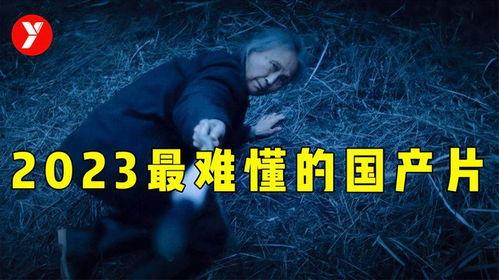 你懂的国产视频,光影交织下的时代印记